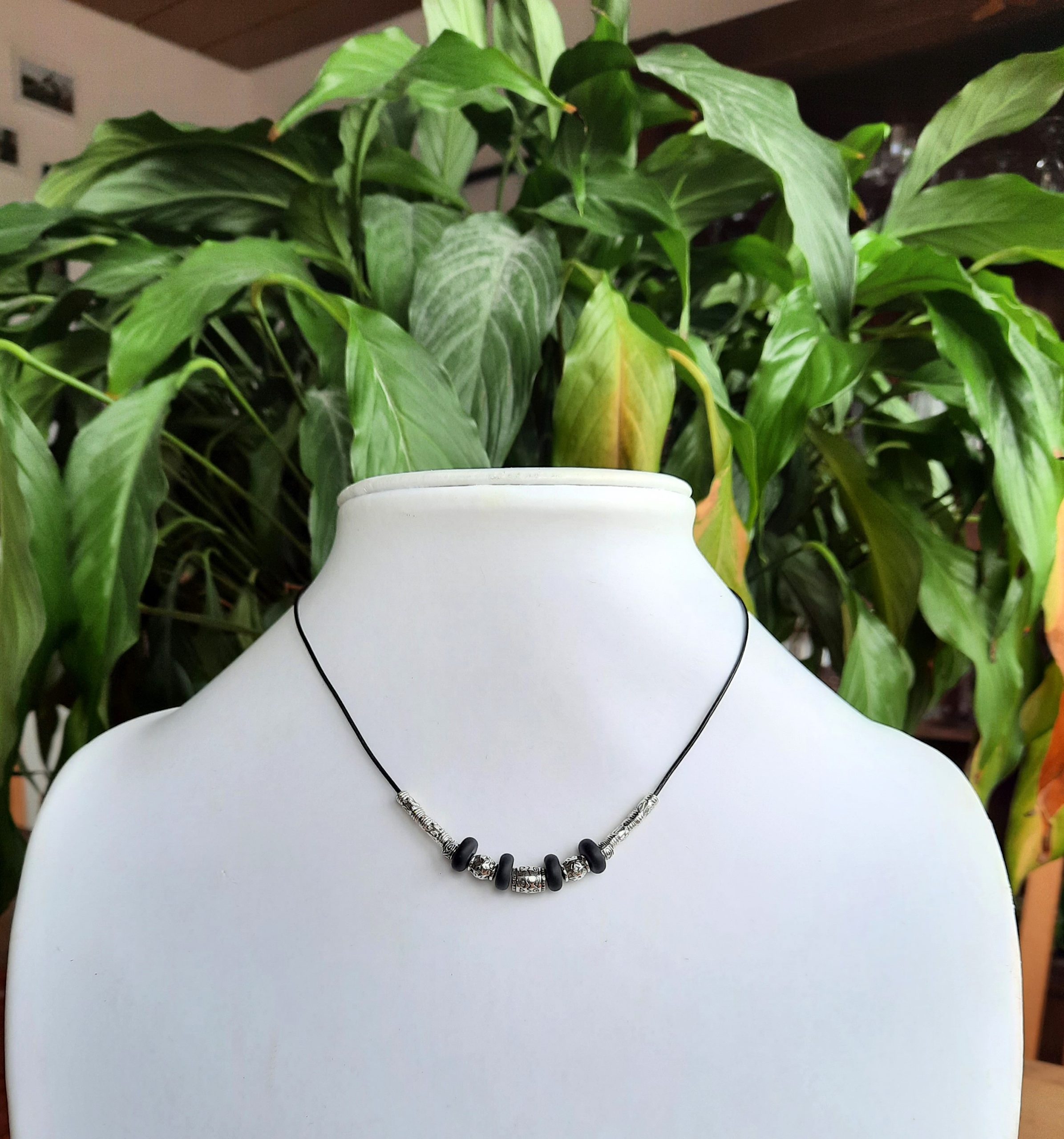 Pasci_Thilo – Bild 3